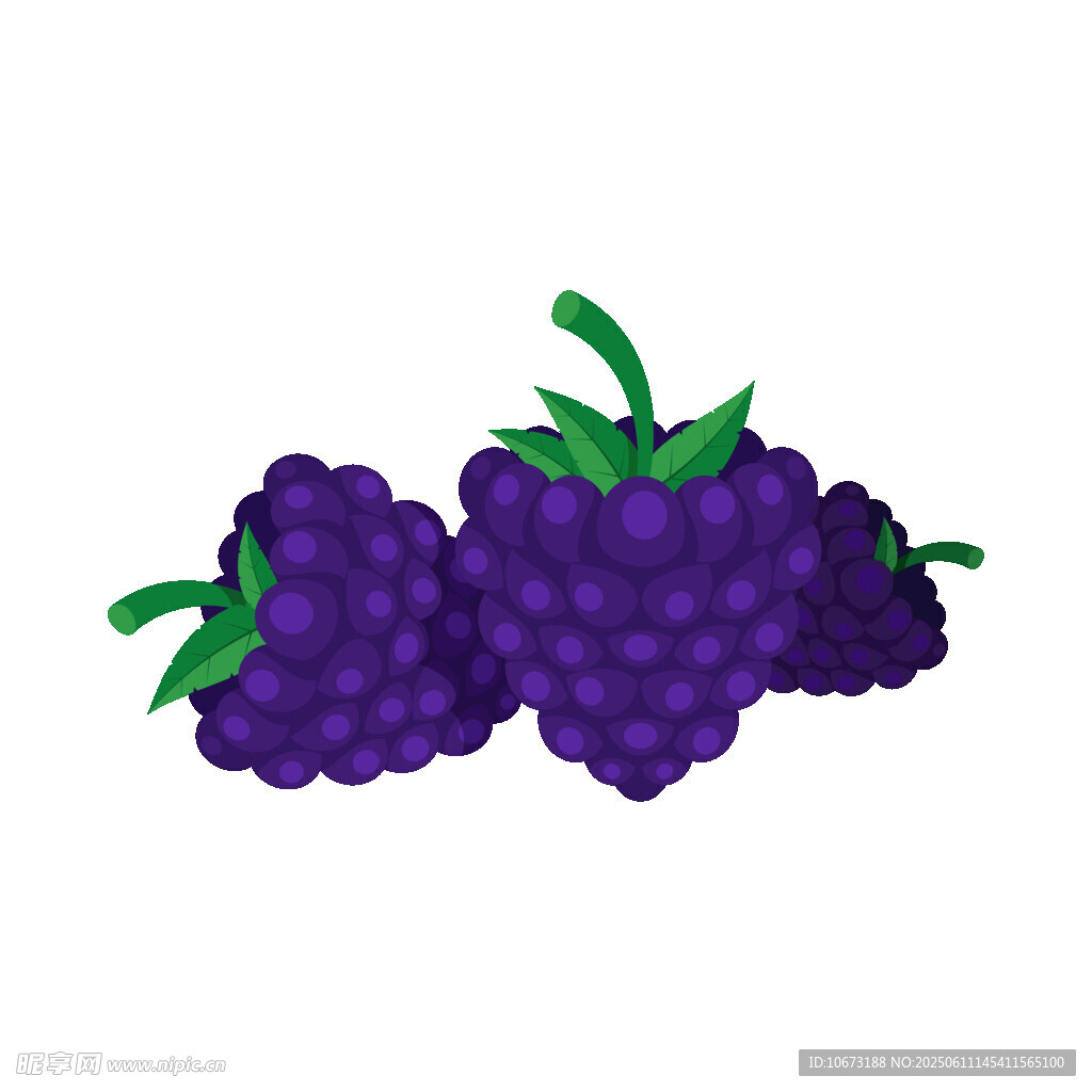 三颗紫葡萄插画