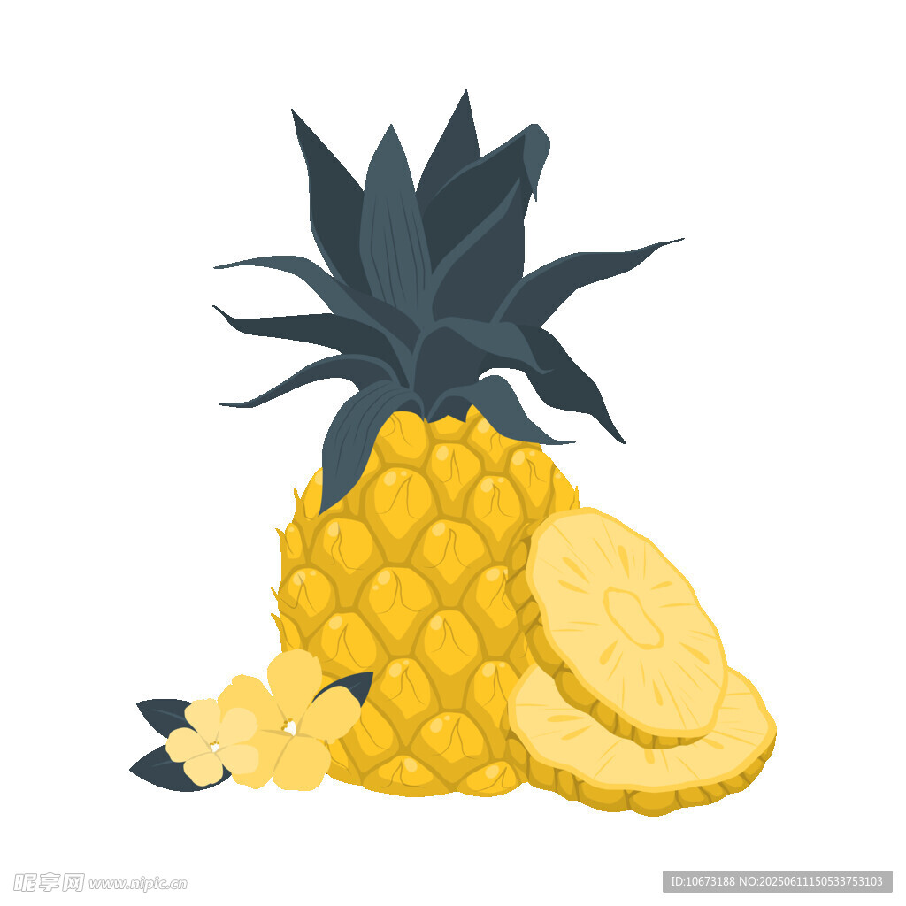 插画中的新鲜菠萝及切片