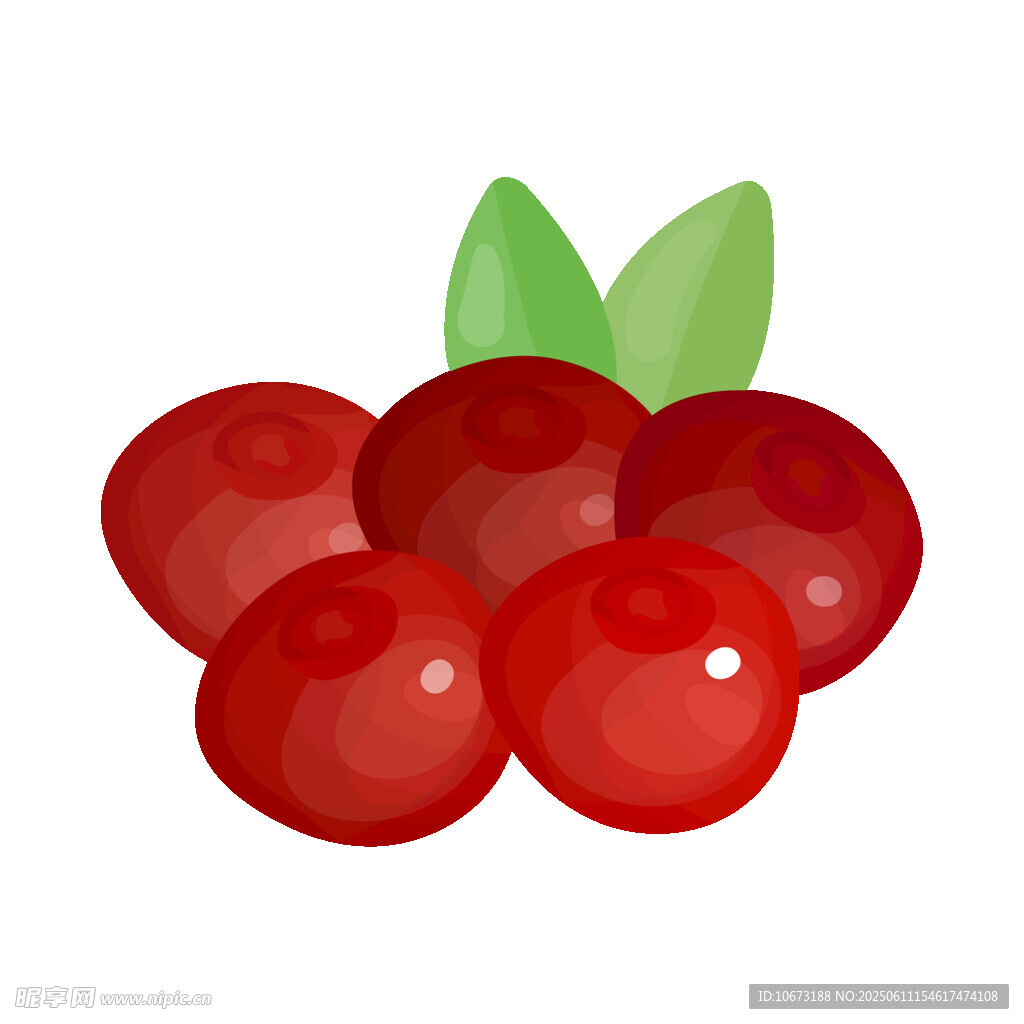 新鲜红莓插画