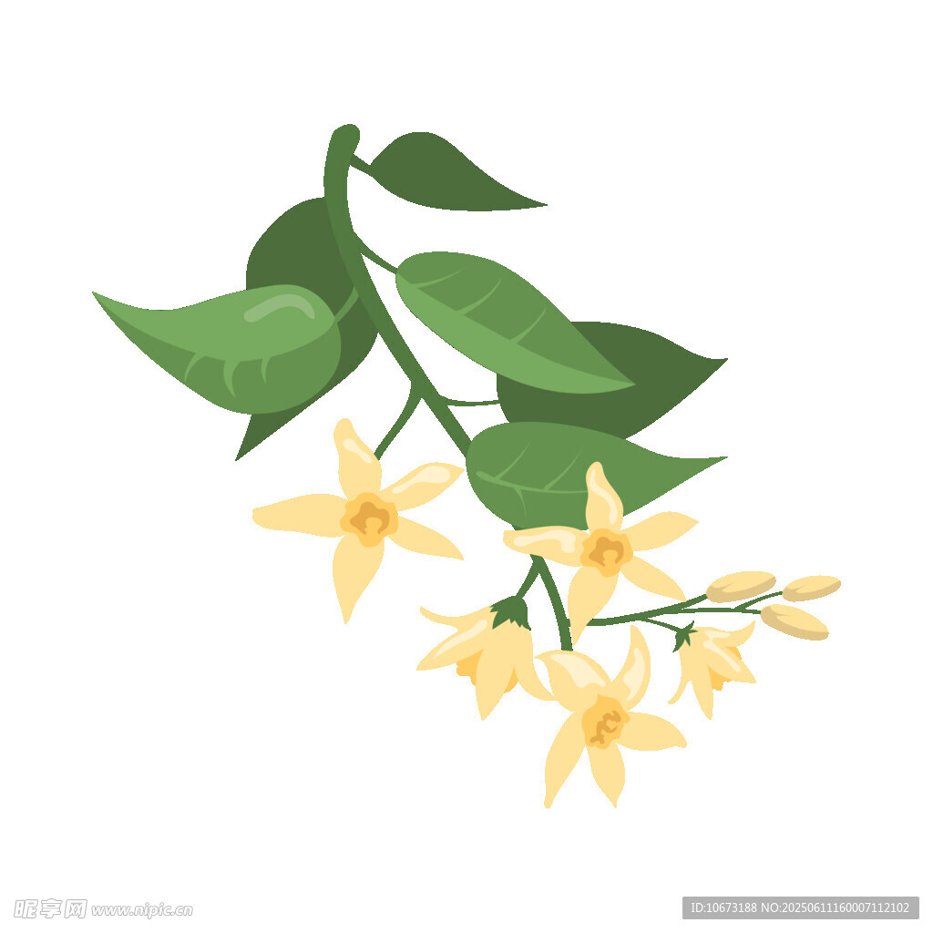 黄色花朵与绿叶插画