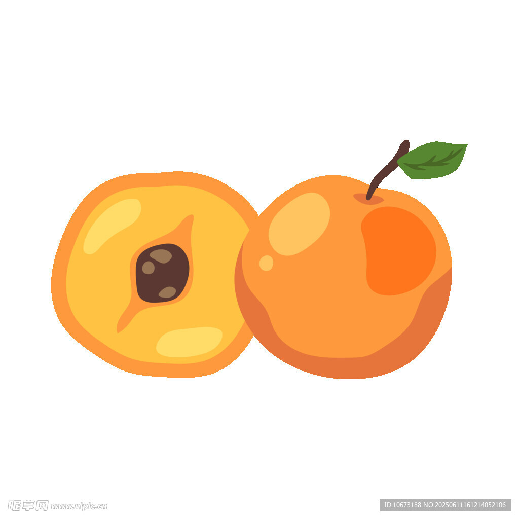 新鲜杏子插画