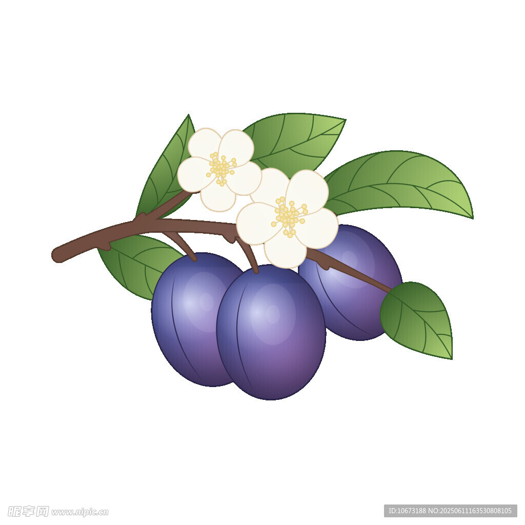 枝头紫李伴白花