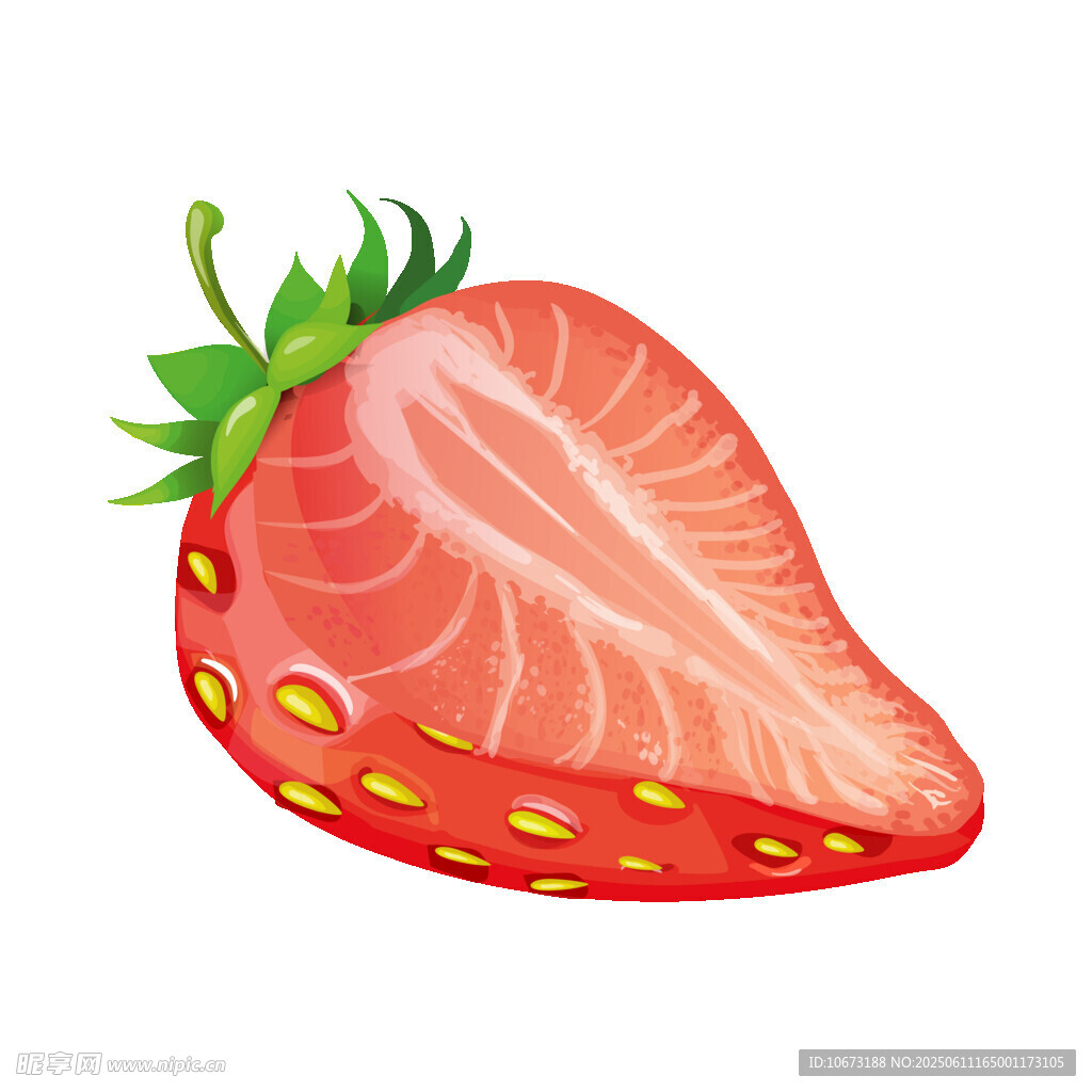 半颗新鲜草莓插画