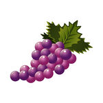 一串紫葡萄