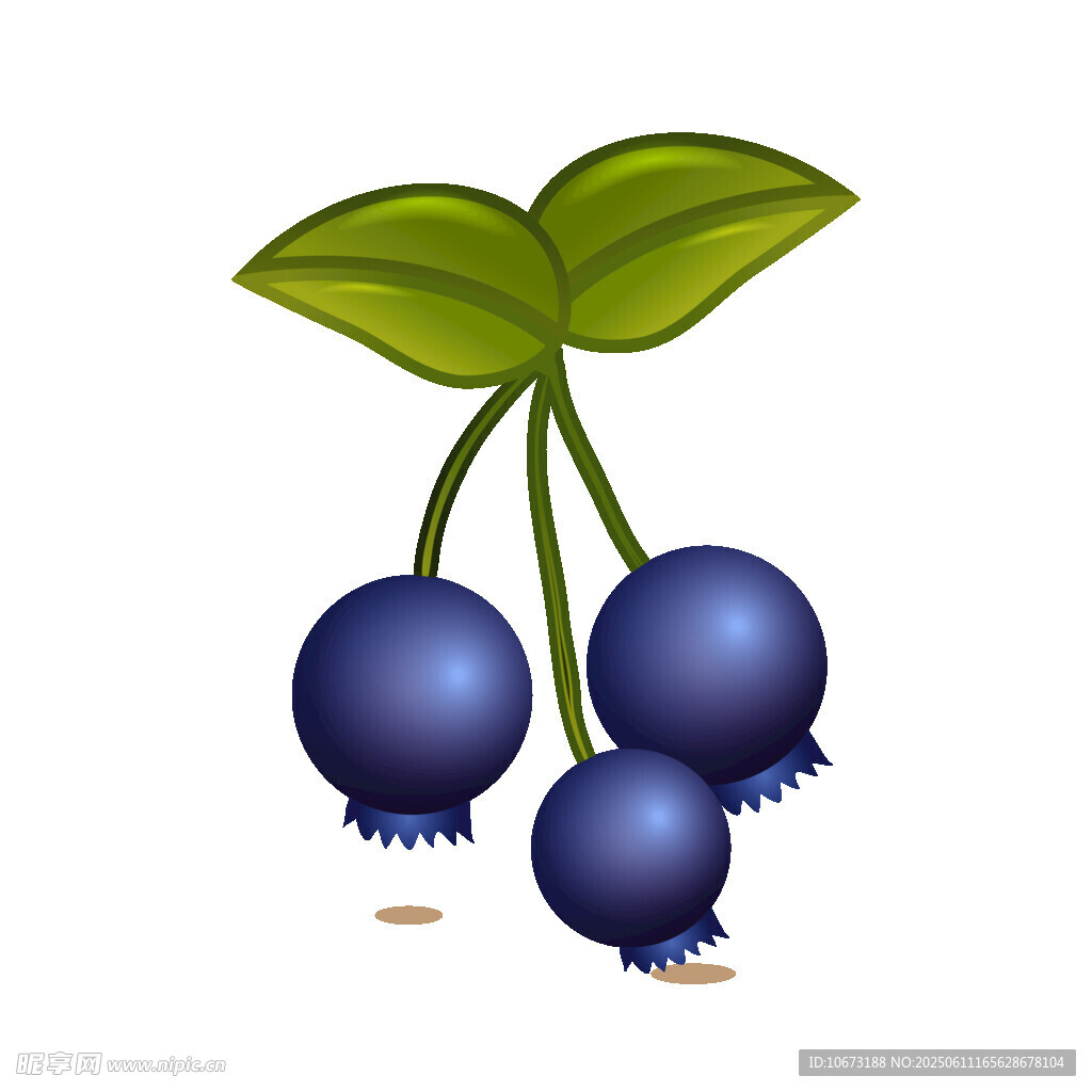 三颗饱满蓝莓插画