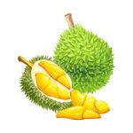 榴莲