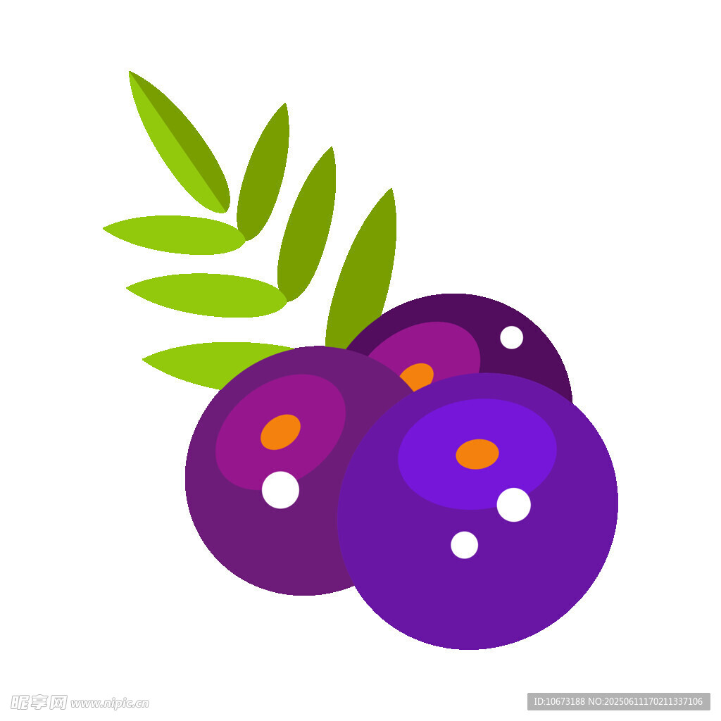 可爱蓝莓插画