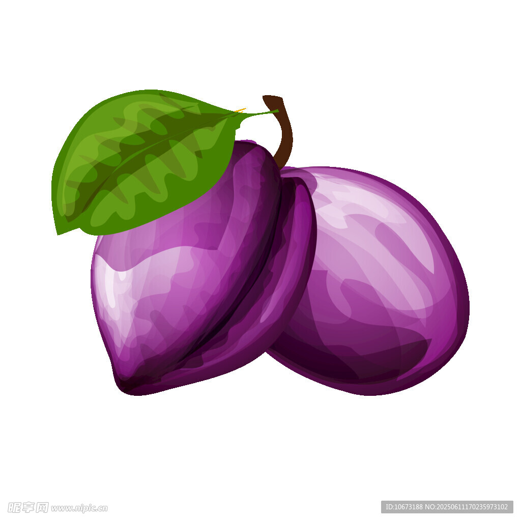 紫李子插画