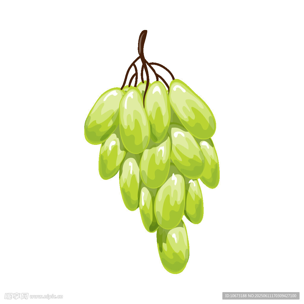 青葡萄串插画
