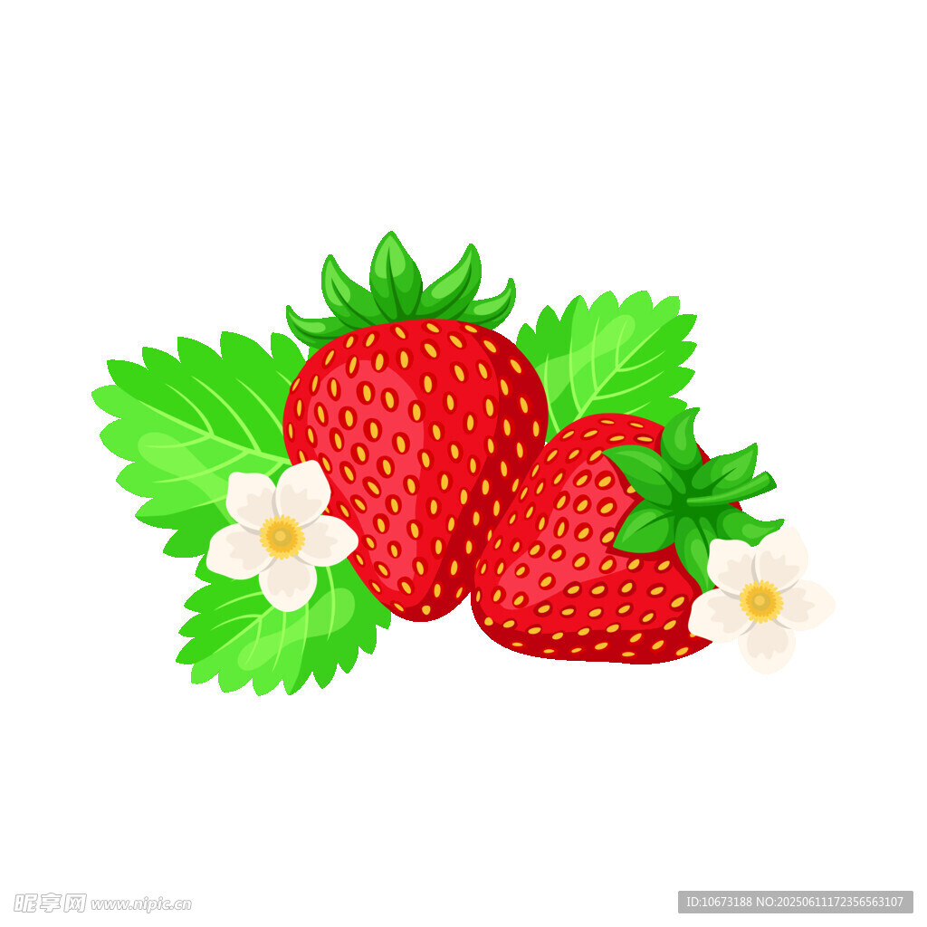 新鲜草莓与绿叶白花