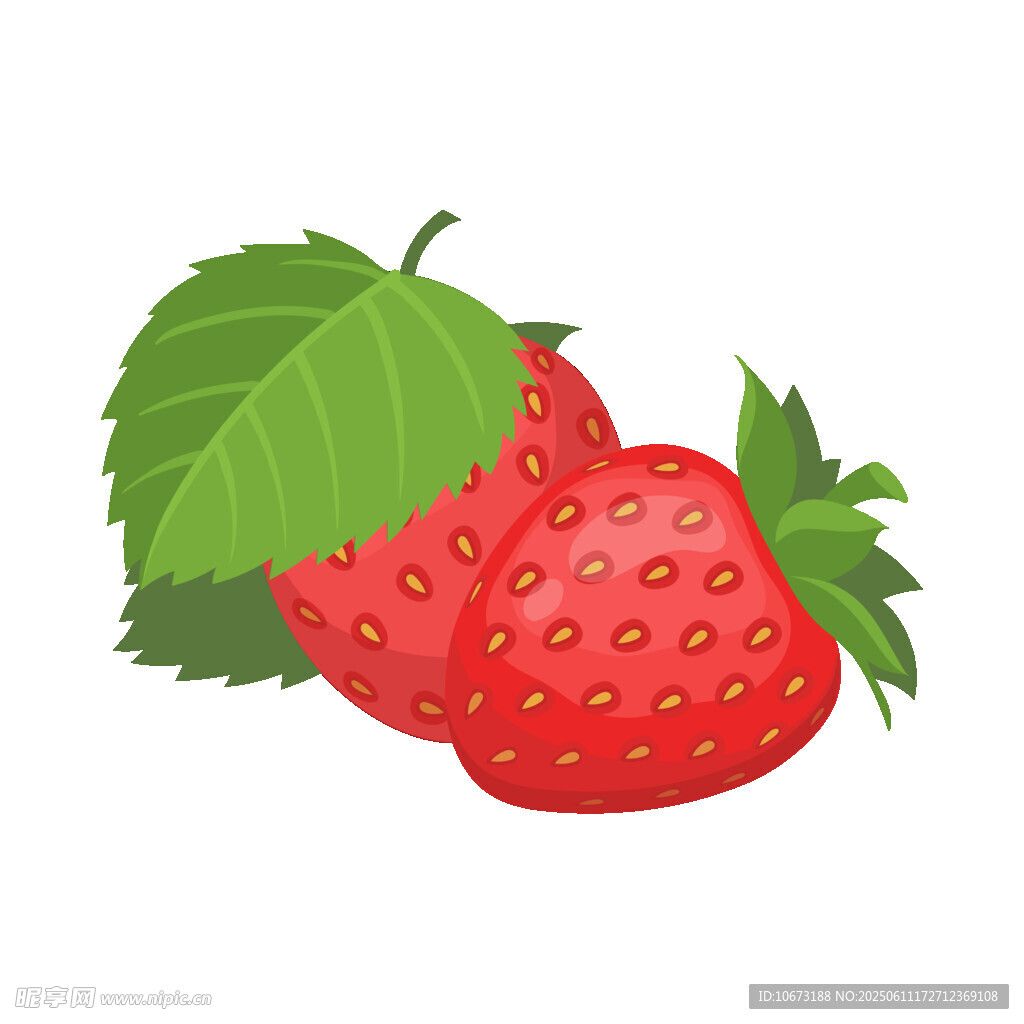 新鲜草莓插画