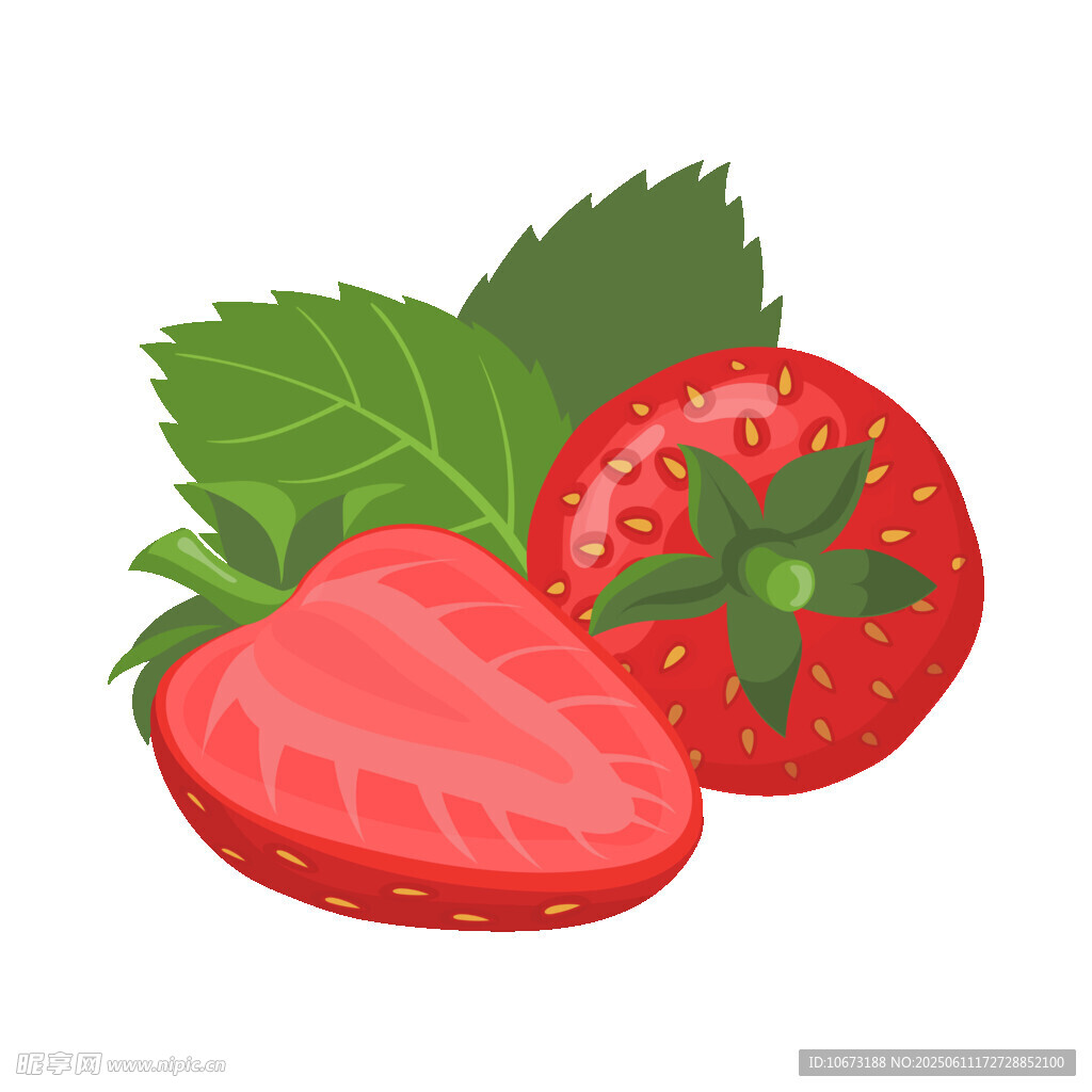 新鲜草莓插画