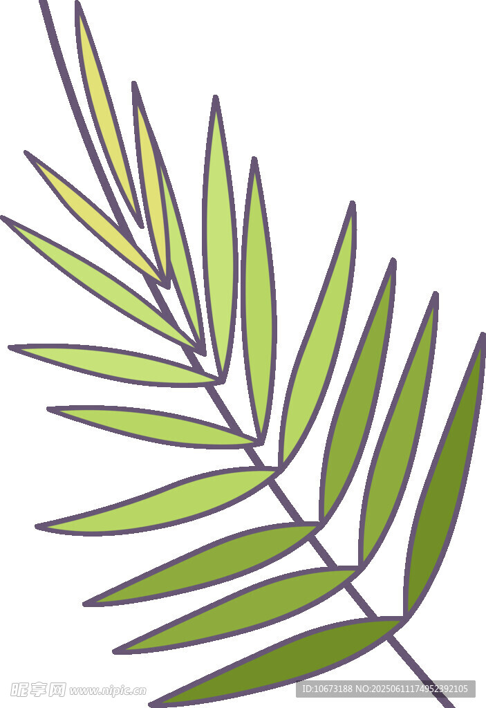手绘绿色羽状叶片植物