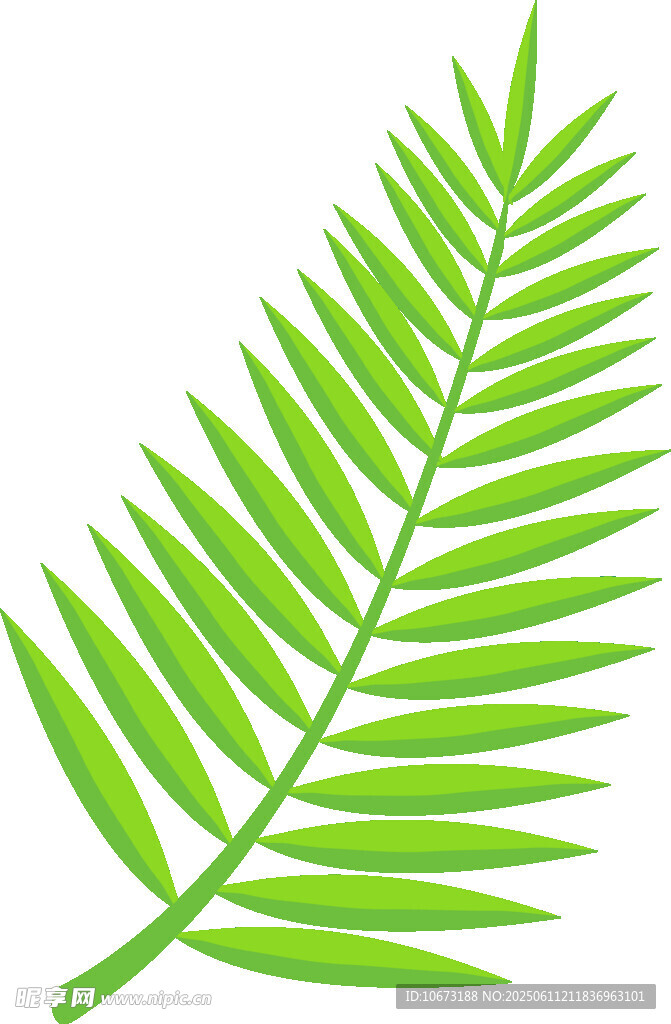 绿色羽状叶片植物图标