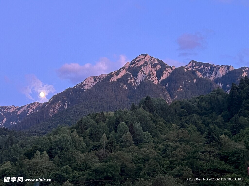 壮丽山峦与葱郁森林景观