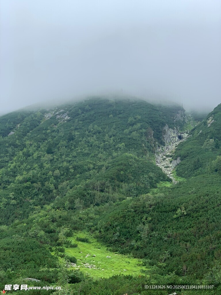 云雾缭绕的翠绿山谷景观