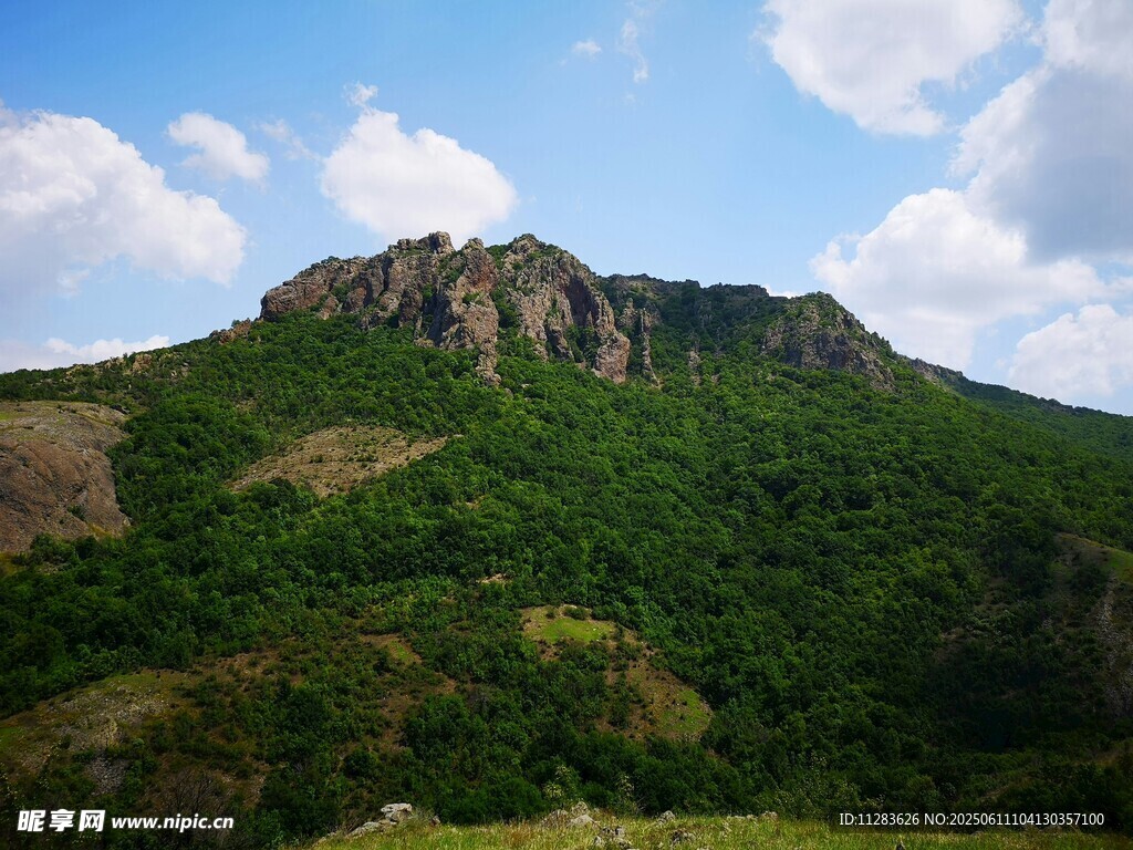 青山之巅