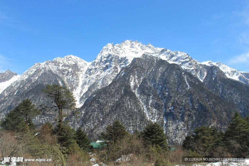 巍峨雪山壮丽自然景观