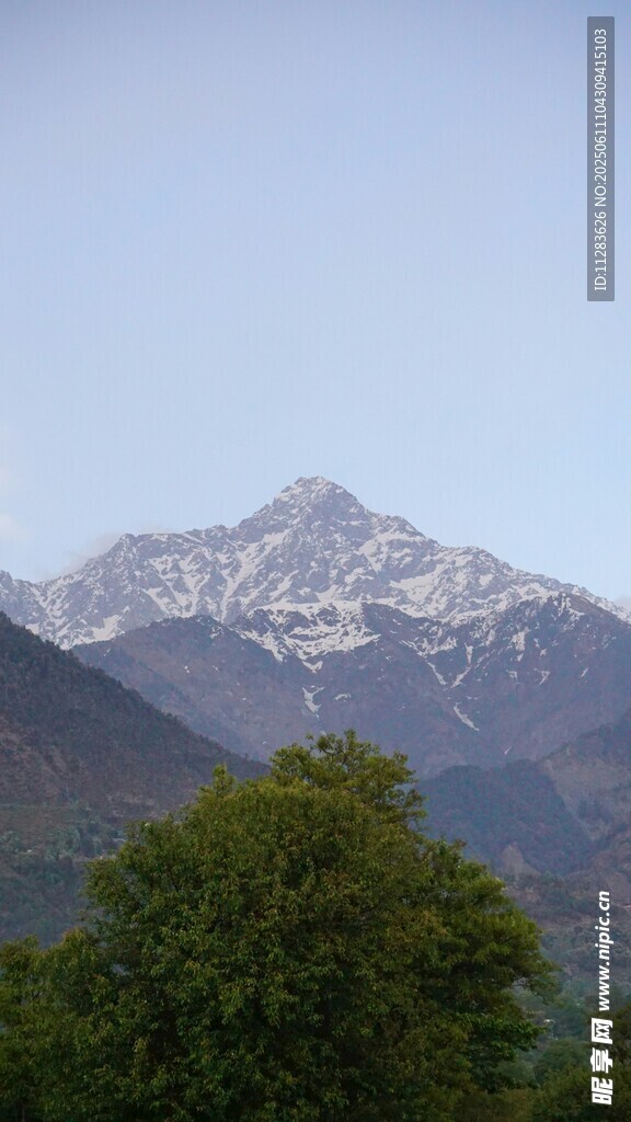 远山绿树美景