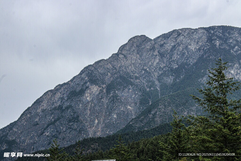 巍峨高山与葱郁树木景观
