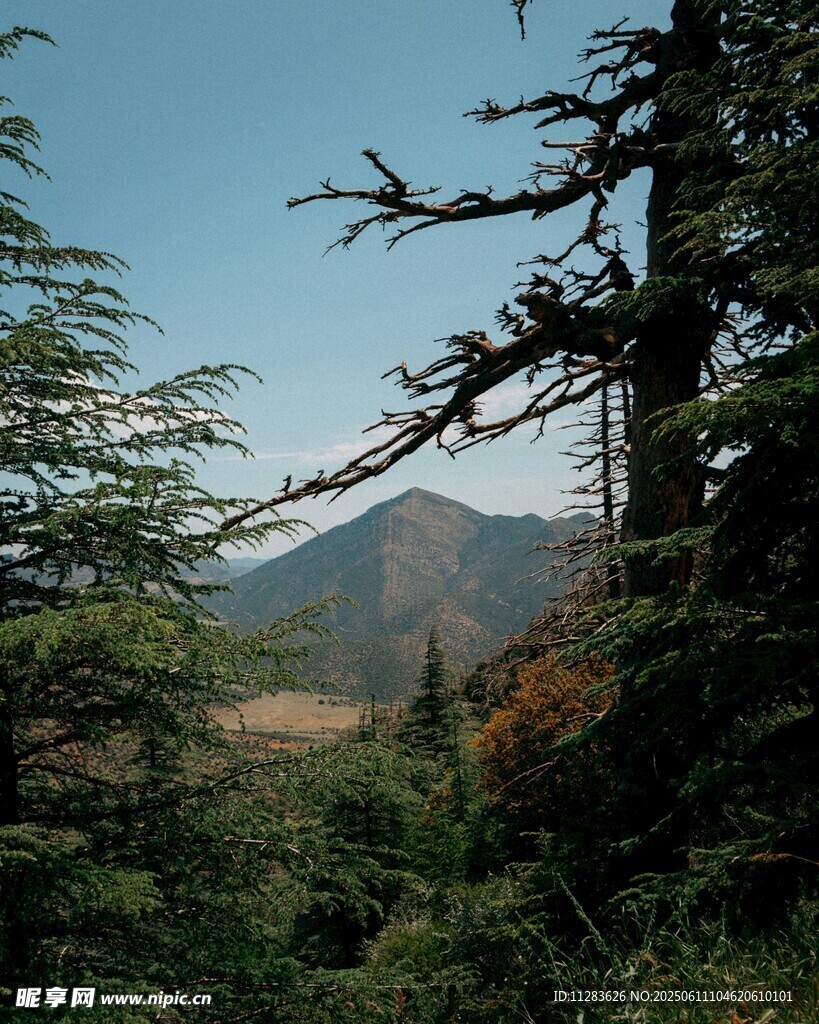 山林间的自然景致