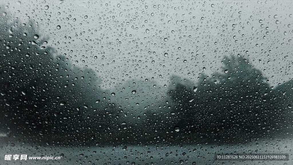 雨中车窗视角的朦胧树林