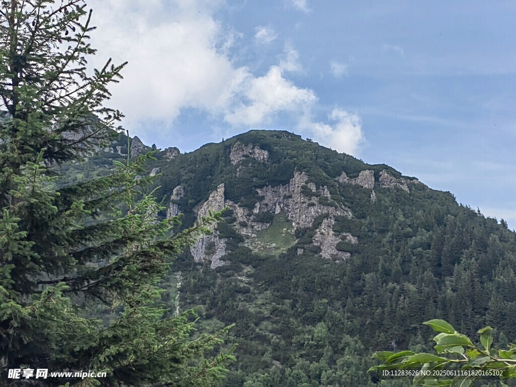 青山绿树间的秀丽山峰