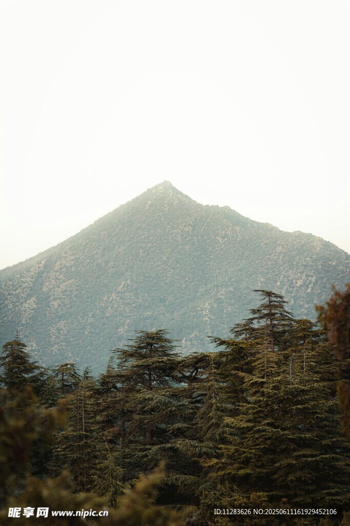 青山葱郁间的秀丽景致