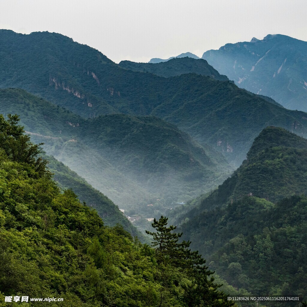 山间晨雾缭绕的秀丽景致