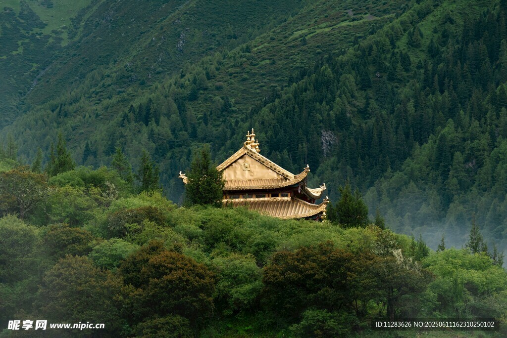 山林中的古朴金色建筑