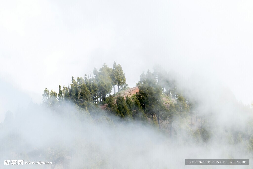 云雾缭绕中的山林美景