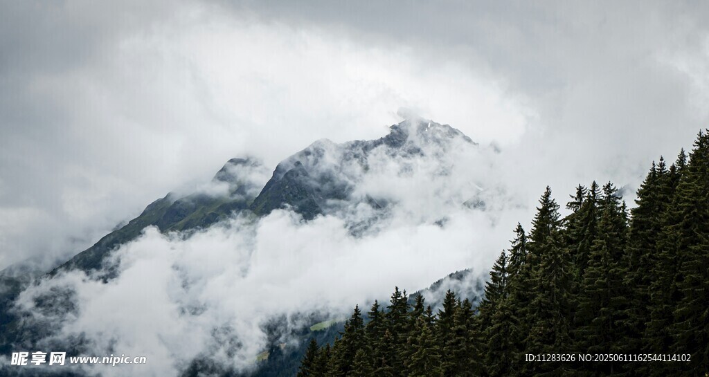 云雾缭绕的山林与山峰