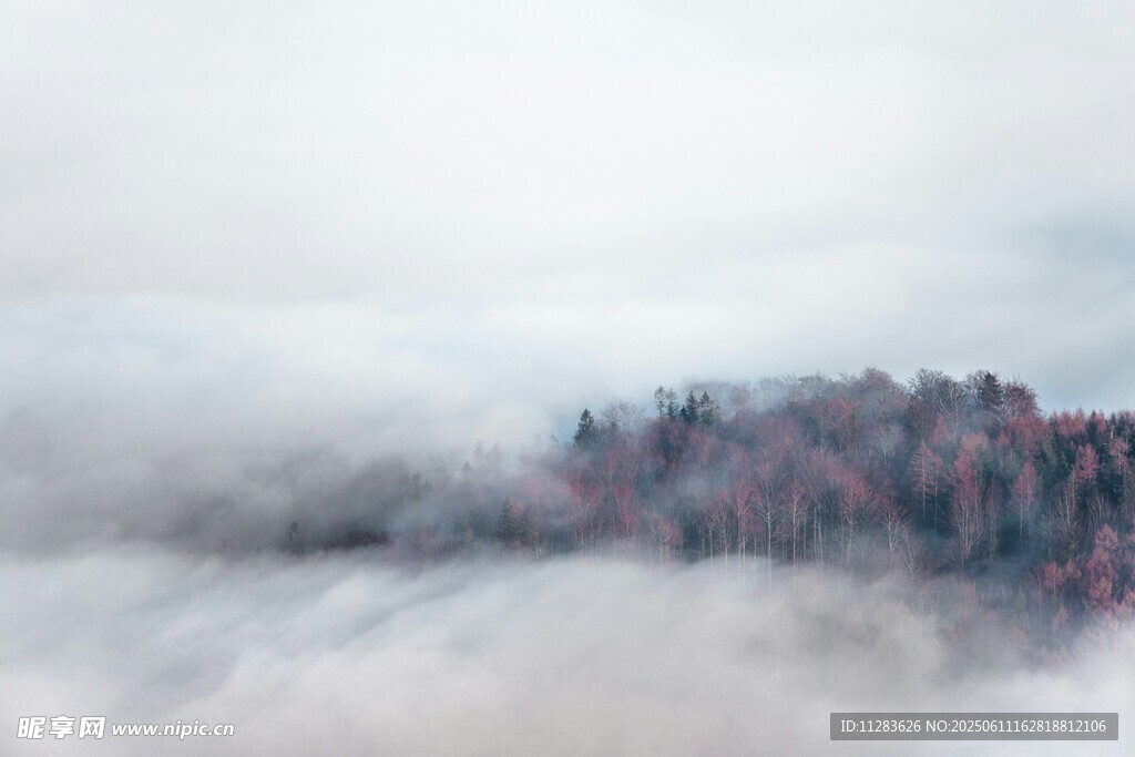 云雾缭绕中的山林美景