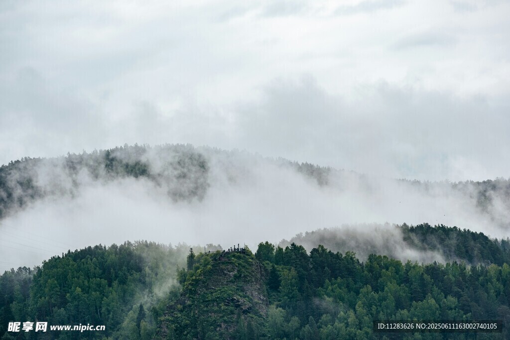 云雾缭绕的山林美景