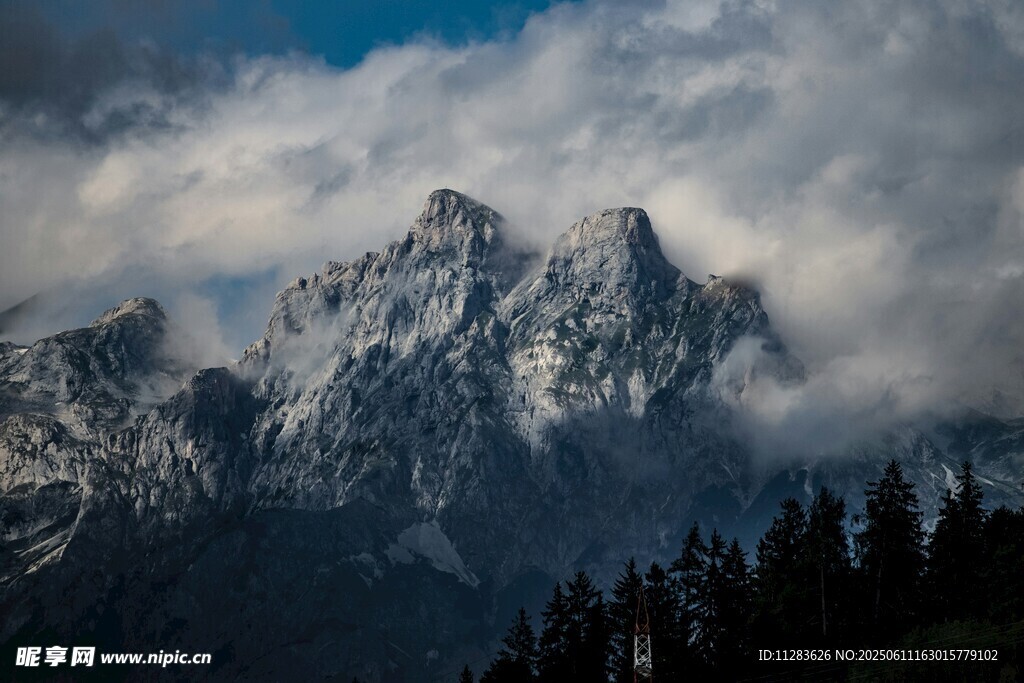 巍峨雪山与葱郁林木景观