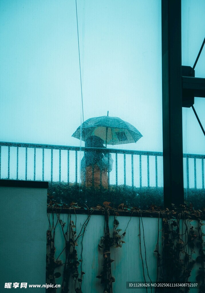 雨中撑伞的行人