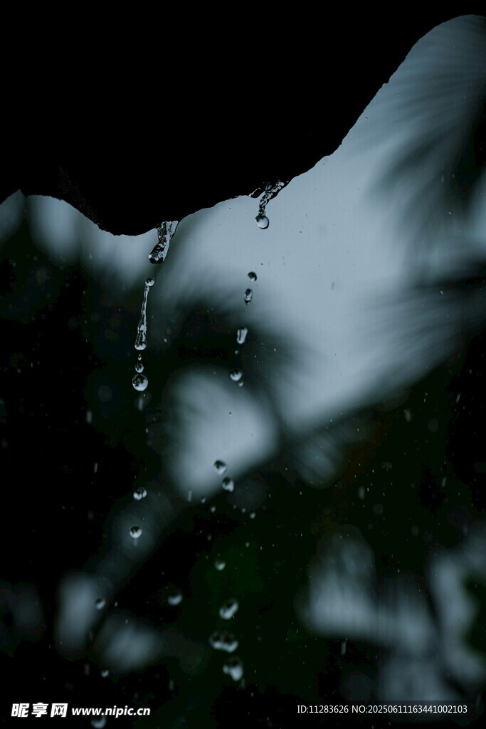 雨滴滑落的朦胧瞬间