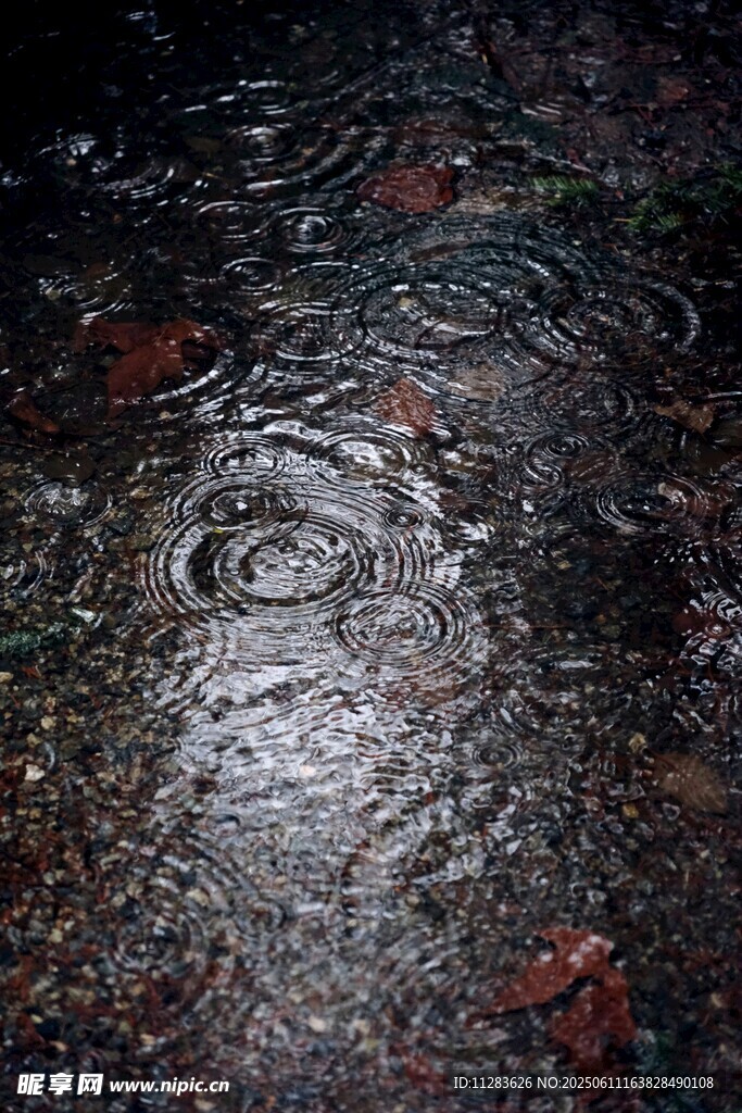 雨滴落积水形成美丽涟漪