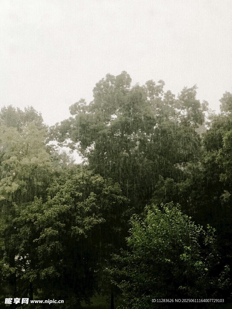 雨天