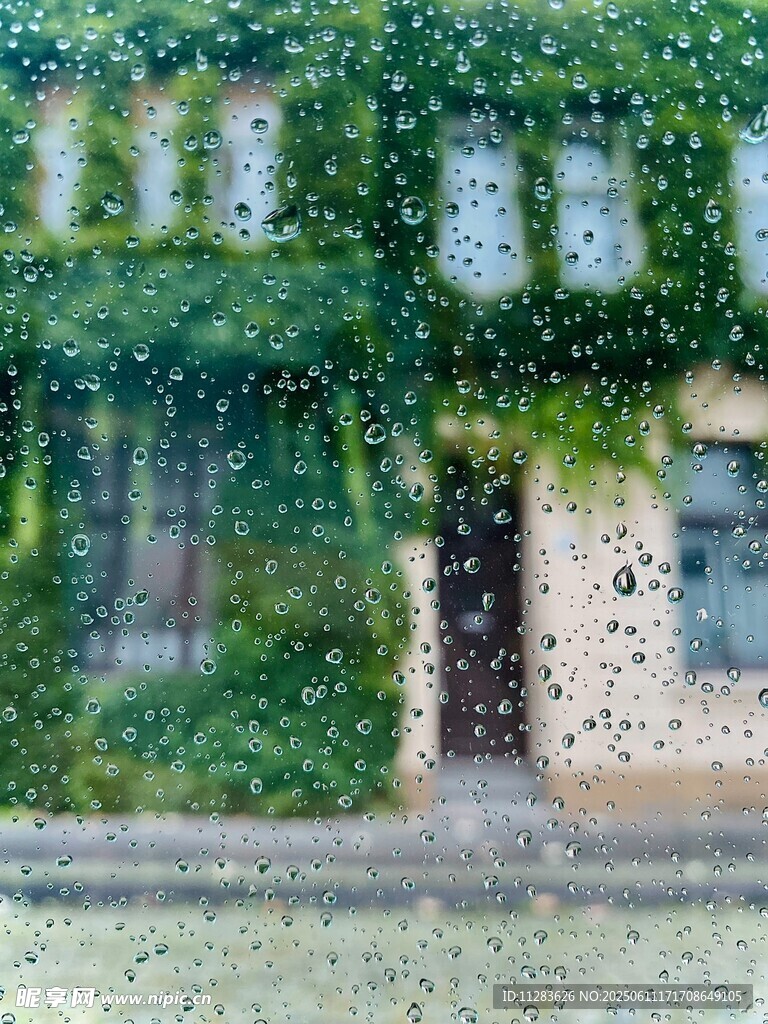 雨中风景