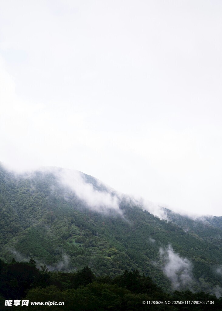 云雾缭绕的青山美景