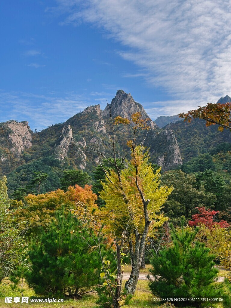 秋日山间多彩景致