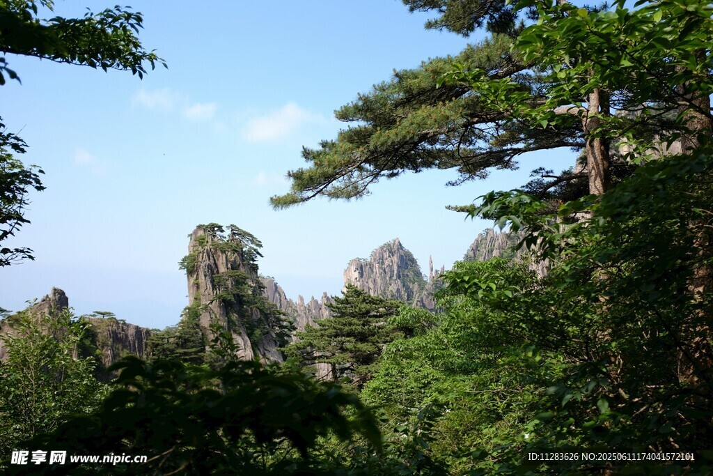 奇峰林立的山林美景