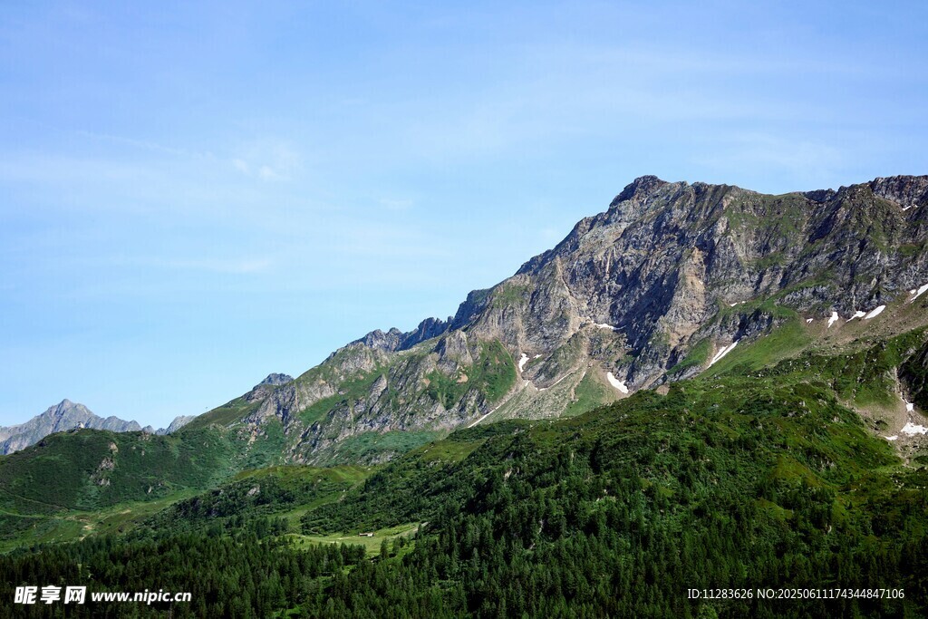 巍峨青山绿意浓