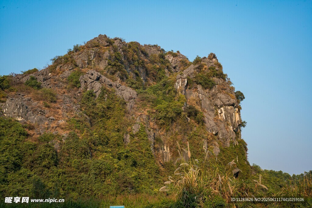 巍峨青山绿意浓