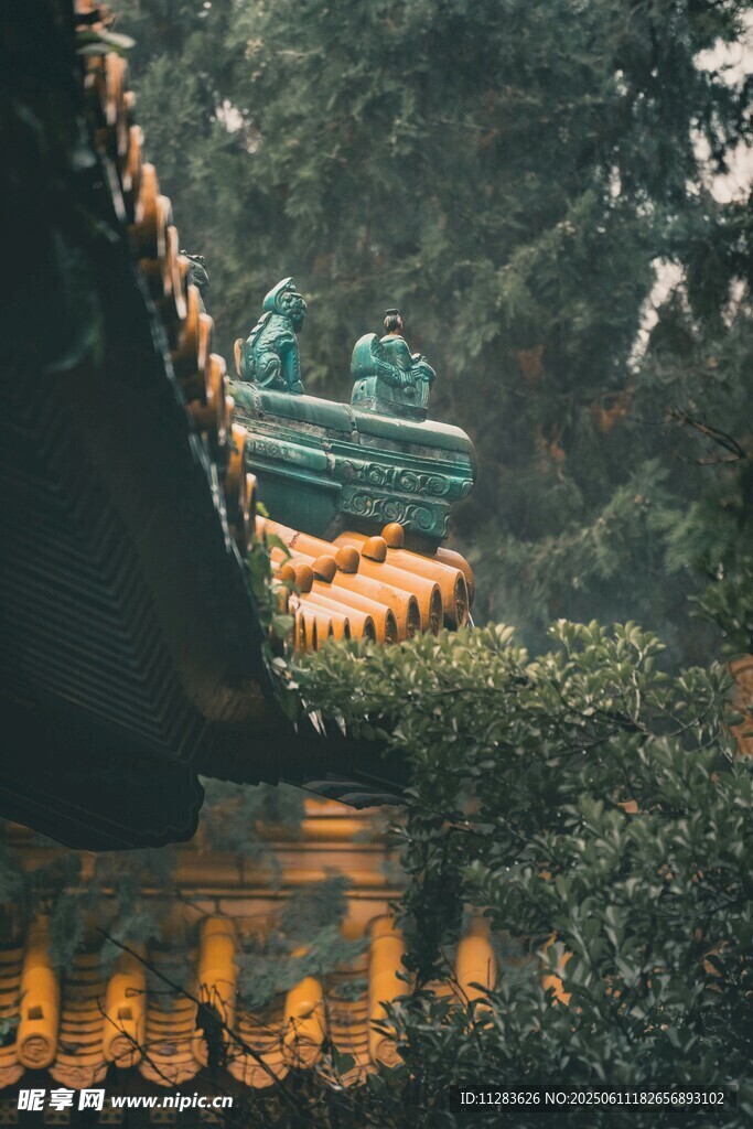 古建屋檐下的绿意景致