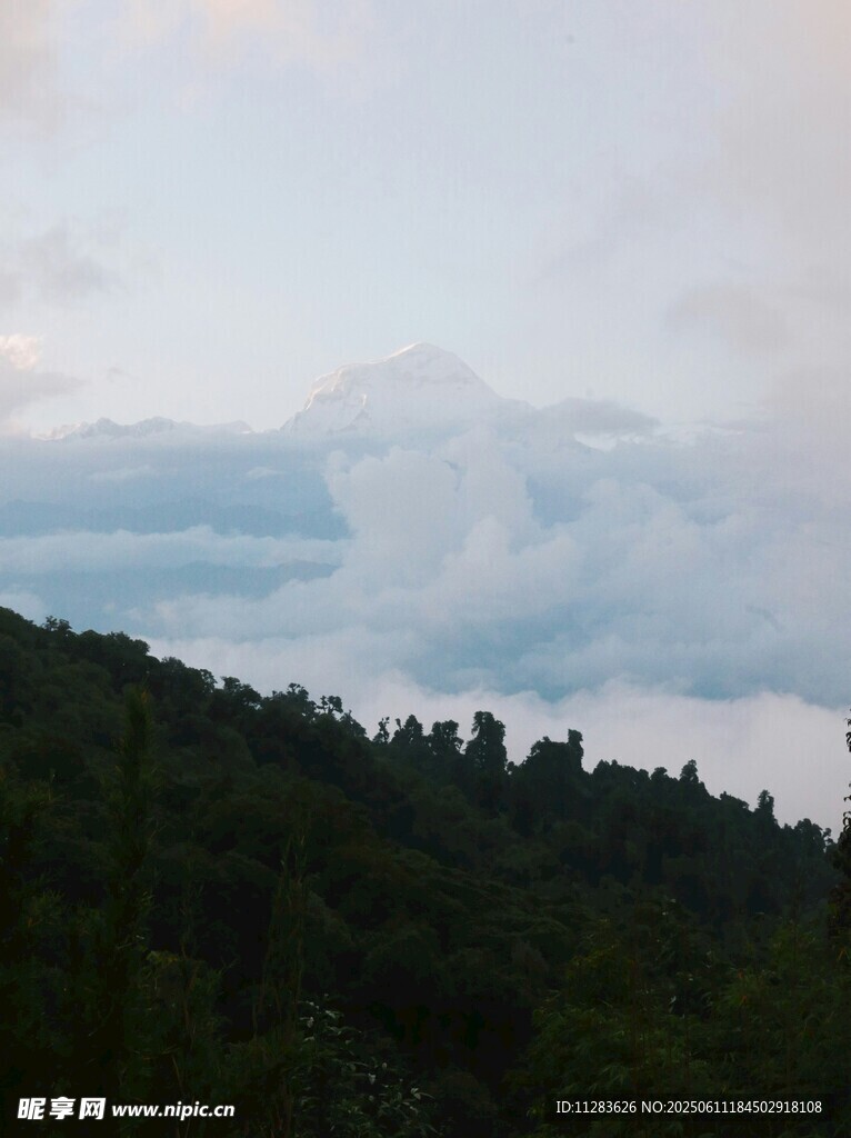 山林之上的云海景观