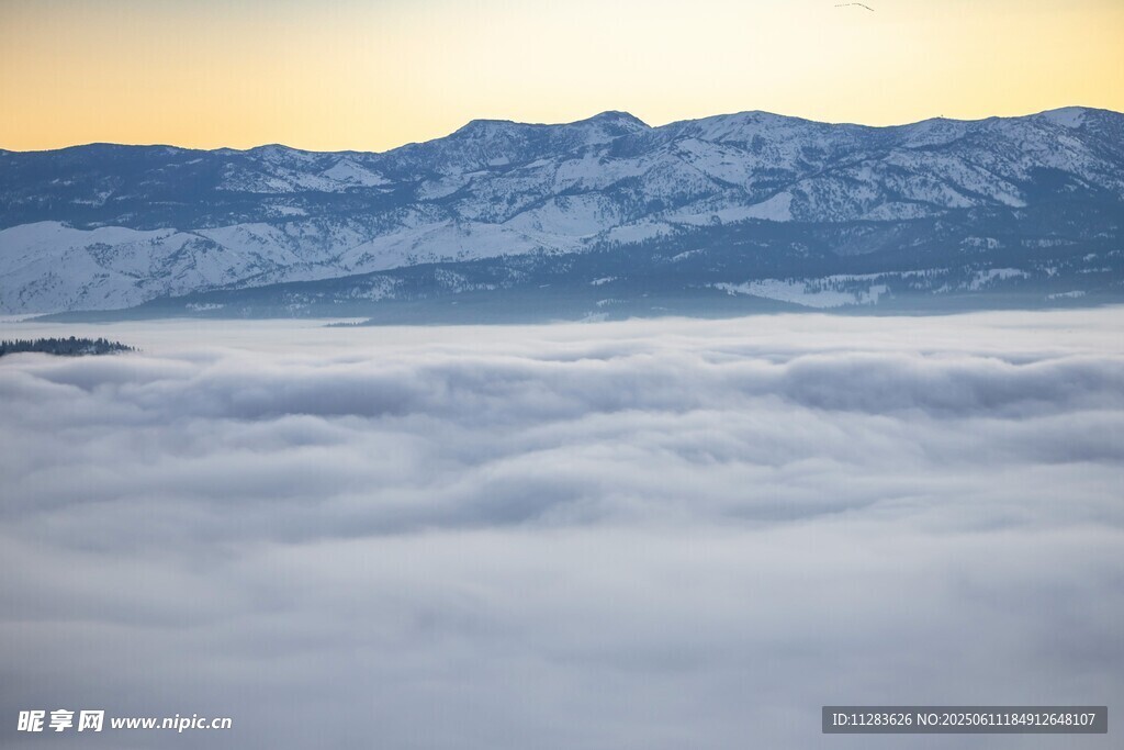 云海之上的壮丽雪山景观
