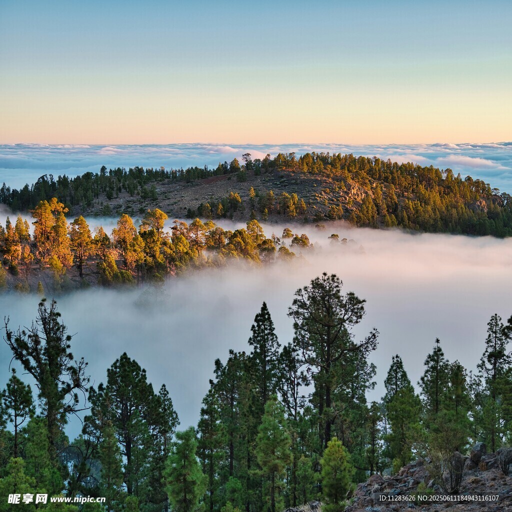 山林晨雾美景