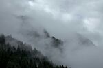 云雾缭绕的山林美景
